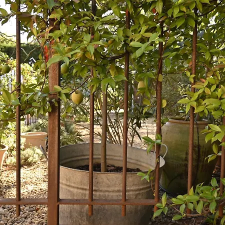 Bastide Le Petit Clos - Les 2 Feriehus Perpignan