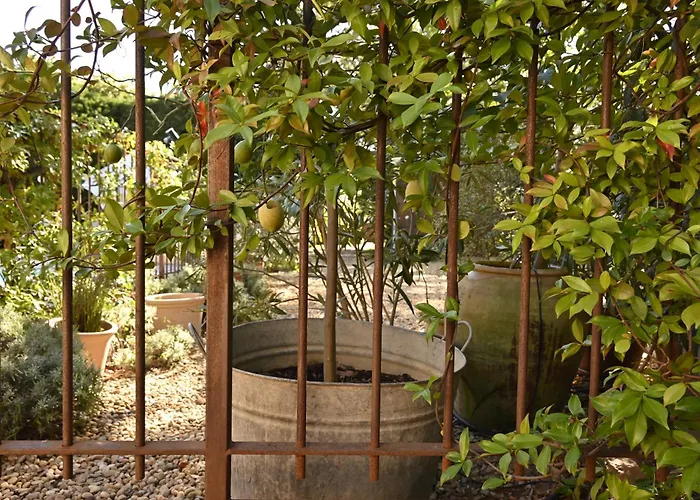 Bastide Le Petit Clos - Les 2 Holiday home Perpignan