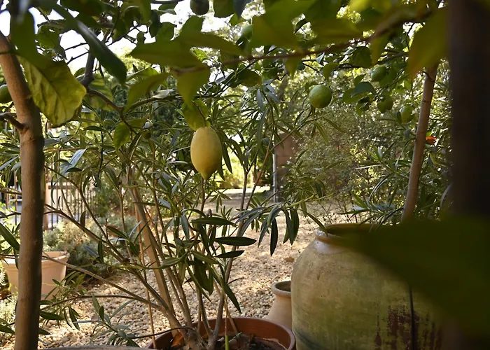 Bastide Le Petit Clos - Les 2 * Perpignan